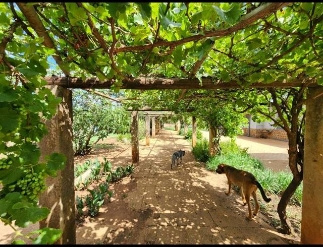 FARM FOR SALE IN HEKPOORT